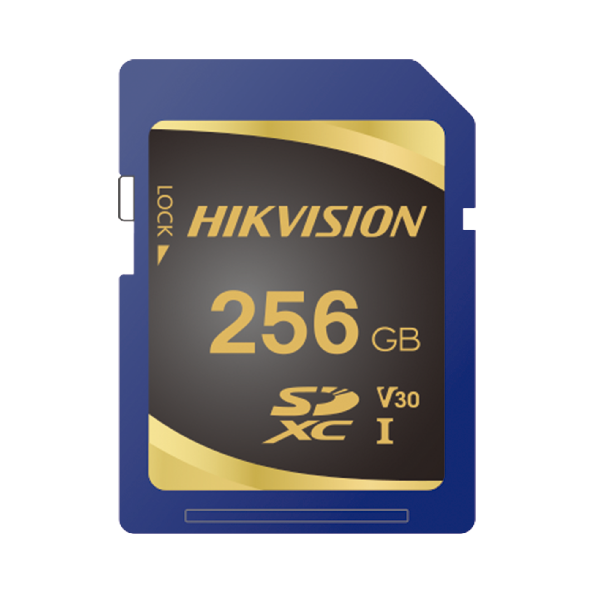 Memoria SD Clase 10 de 256 GB / Especializada Para Videovigilancia