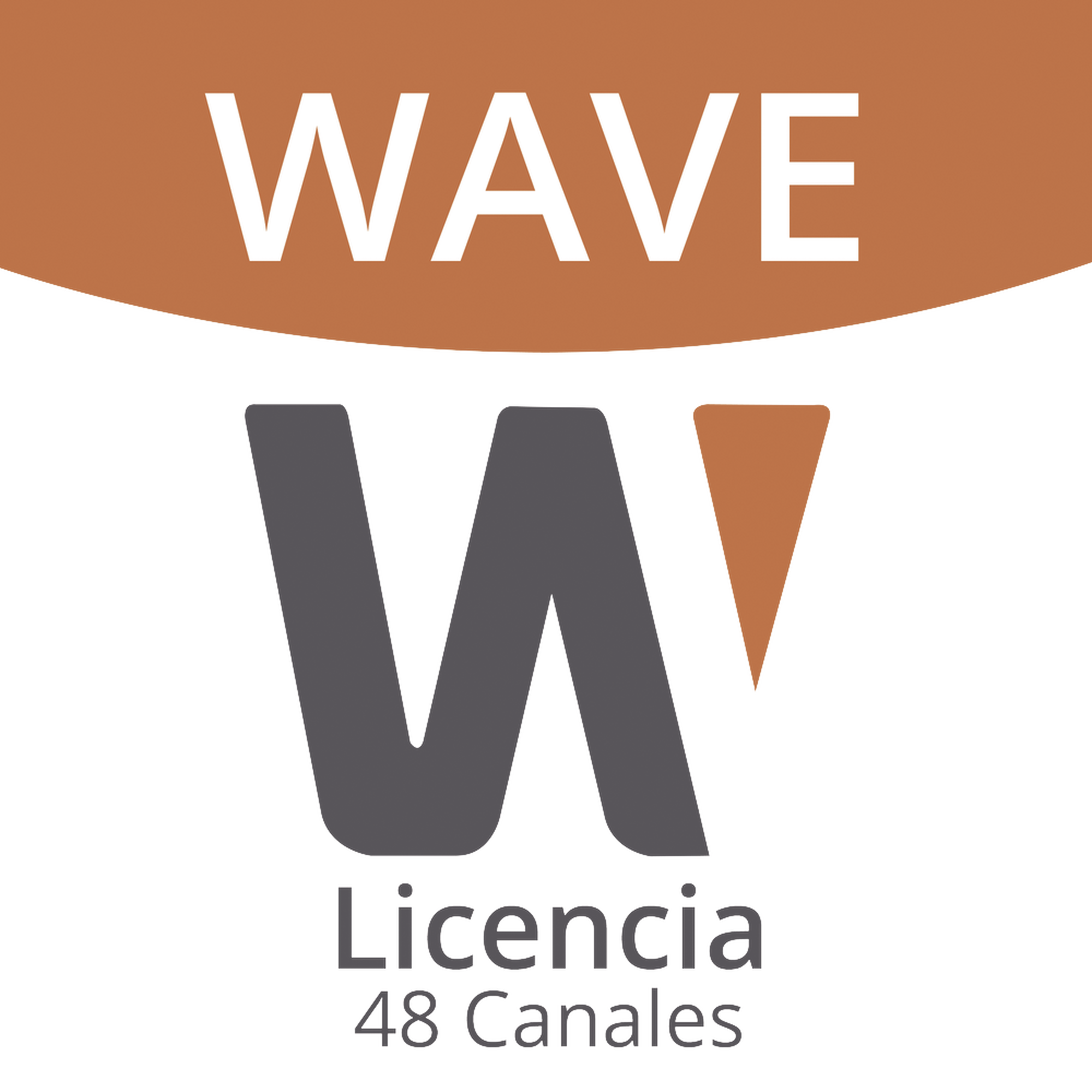 Licencia de 48 Canales de Grabación Wisenet Wave Profesional